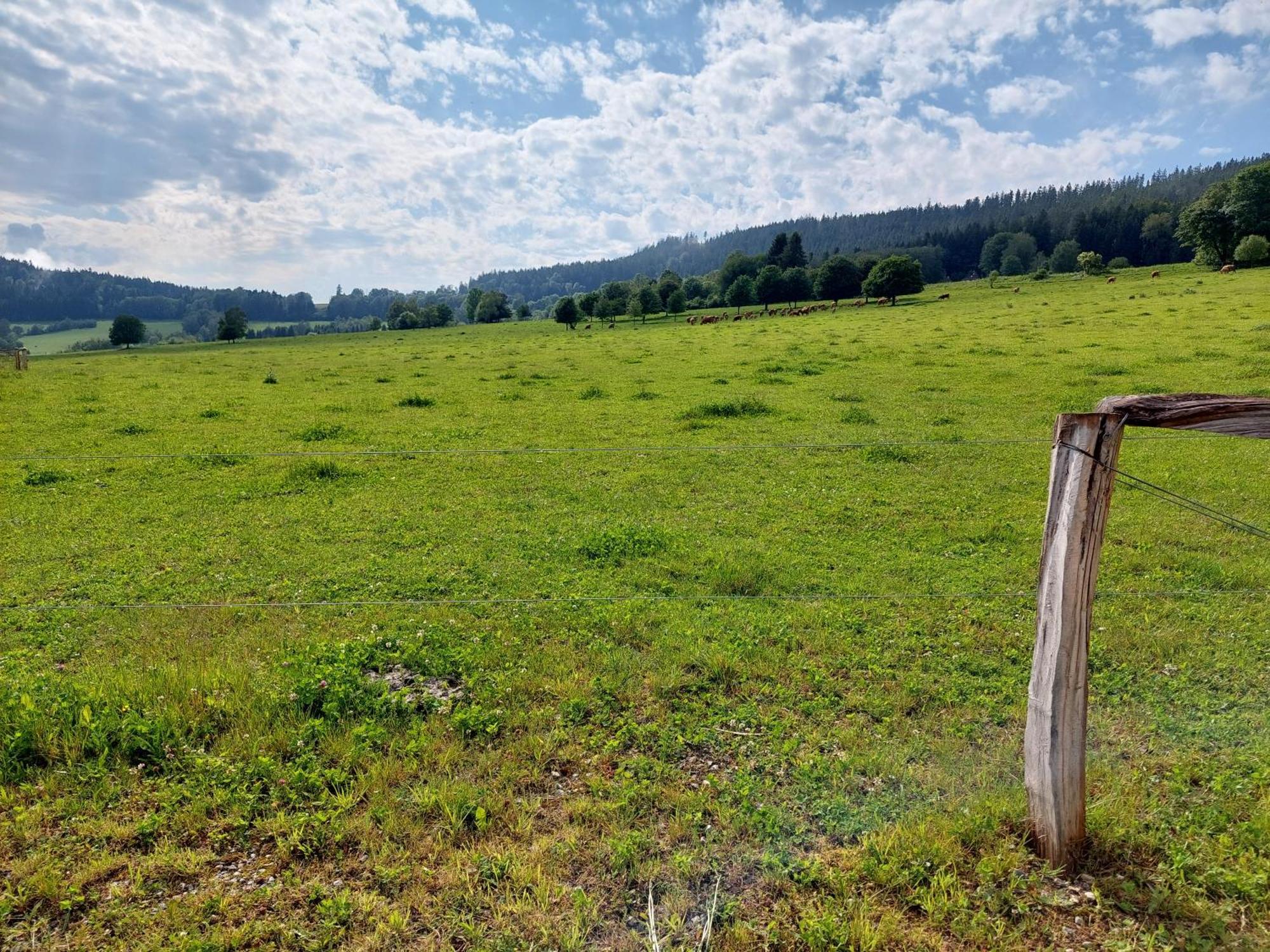 Penzion Slupecna Lipno nad Vltavou Buitenkant foto